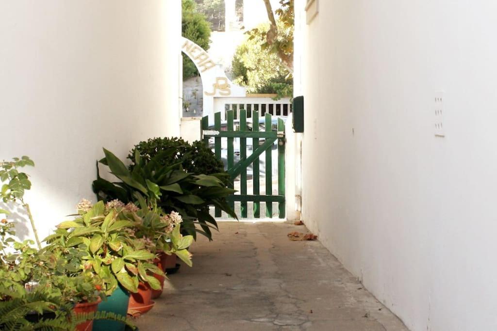 The Green Gate Patio House نازاريه المظهر الخارجي الصورة